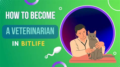how to become a veterinarian in bitlife|BitLife Schools Guide .